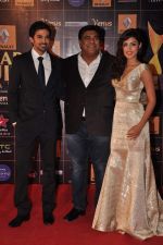 Ram Kapoor at Star Guild Awards red carpet in Mumbai on 16th Feb 2013 (23).JPG